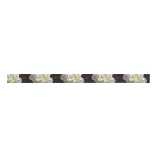 Elegante witte pioen bloemenwitte bloem foto grosgrain lint (Voorkant)