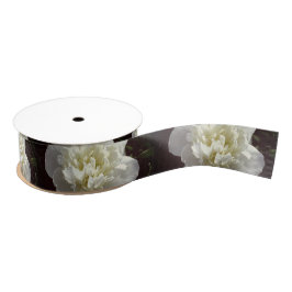 Elegante witte pioen bloemenwitte bloem foto grosgrain lint