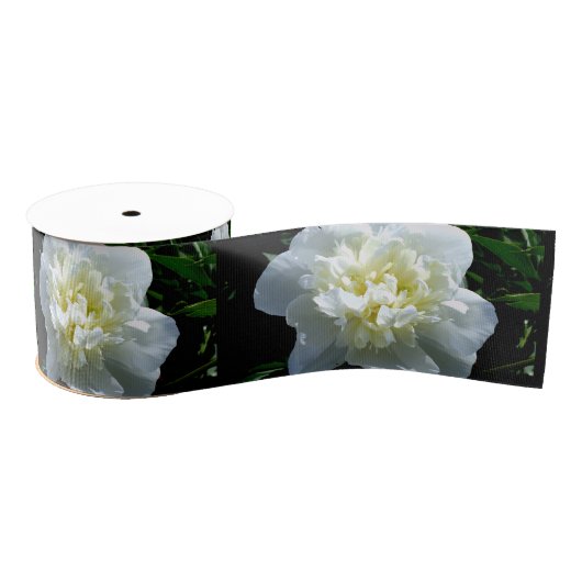 Elegante witte pioen bloemenwitte bloem foto grosgrain lint (Spoel)