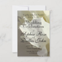 Elegante witte pioen bloemenwitte bloem foto