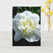 Elegante witte pioen bloemenwitte bloem foto kaart (Gele Bloem)