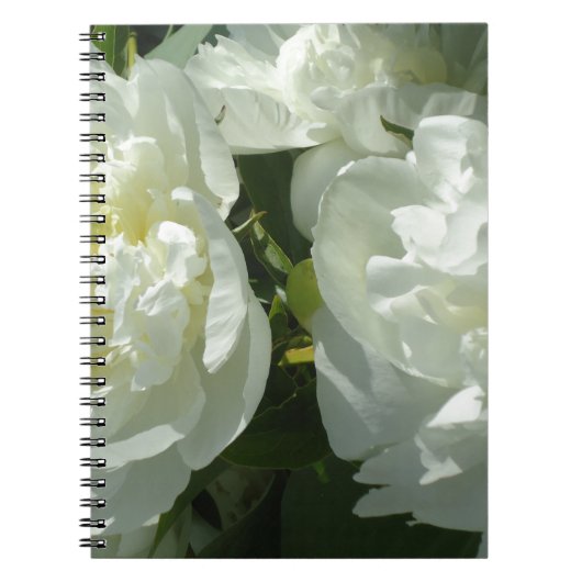 Elegante witte pioen bloemenwitte bloem foto notitieboek (Voorkant)