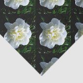 Elegante witte pioen bloemenwitte bloem foto tissuepapier (Detail)