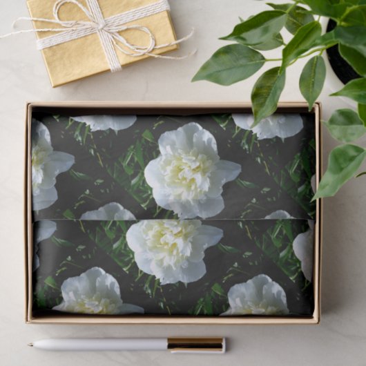 Elegante witte pioen bloemenwitte bloem foto tissuepapier (Geschenk)
