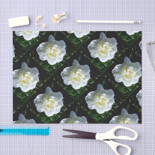 Elegante witte pioen bloemenwitte bloem foto tissuepapier (Craft)