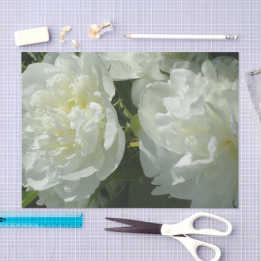 Elegante witte pioen bloemenwitte bloem foto tissuepapier (Craft)