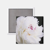 Elegante witte pioen met Paarse Magneet (Voorkant / Achterkant)