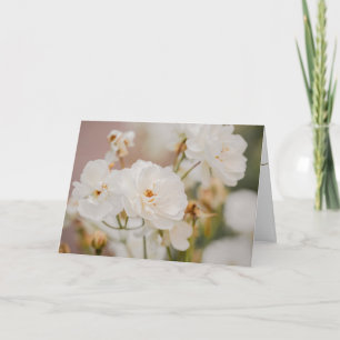 Elegante witte roos bloem foto Gefeliciteerd moede Kaart