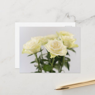 Elegante witte roos bloemen fotografie op grijs briefkaart