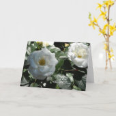 Elegante Witte Roos Verjaardag Kaart (Gele Bloem)