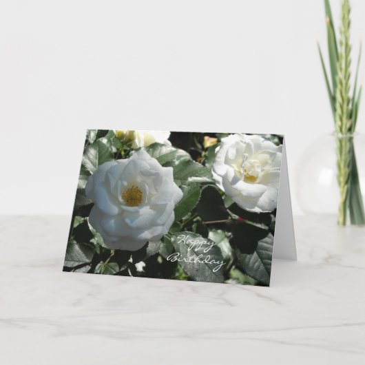 Elegante Witte Roos Verjaardag Kaart (Voorkant)