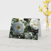 Elegante Witte Roos Verjaardag Kaart (Gele Bloem)