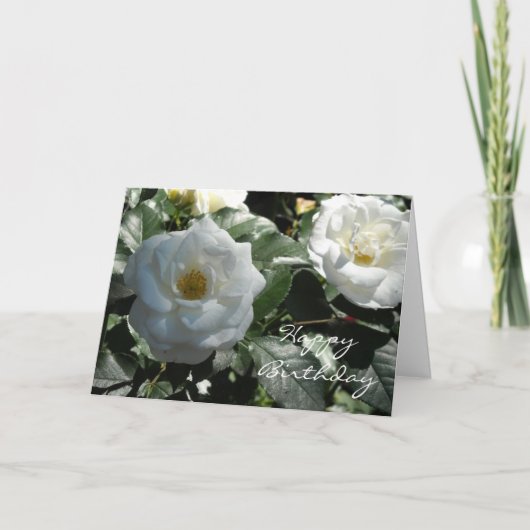 Elegante Witte Roos Verjaardag Kaart (Voorkant)