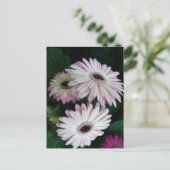 Elegante Witte & Roze Gerber Daisy Bloemen Briefkaart (Staand voorkant)