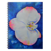 Elegante witte roze waterverf bloemorchidee notitieboek (Voorkant)