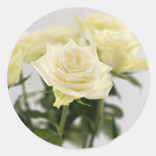Elegante witte rozen bloem fotografie ronde sticker