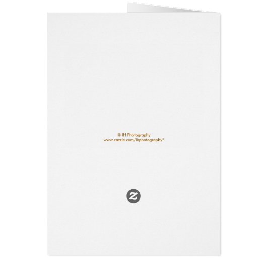 Elegante witte rozen bruiloft foto dank u kaart (Achterkant)