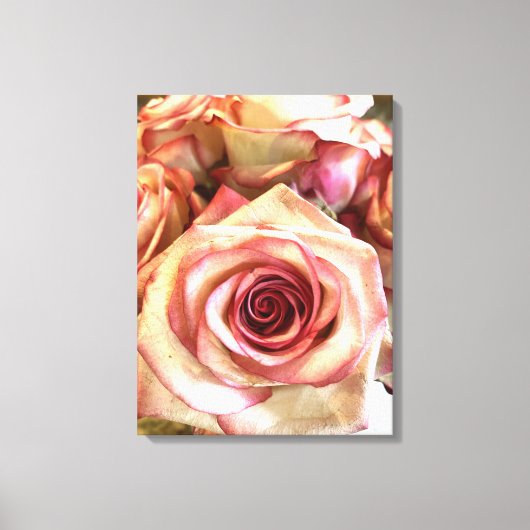 Elegante witte rozen met roze rand foto canvas wan afdruk (Voorkant)