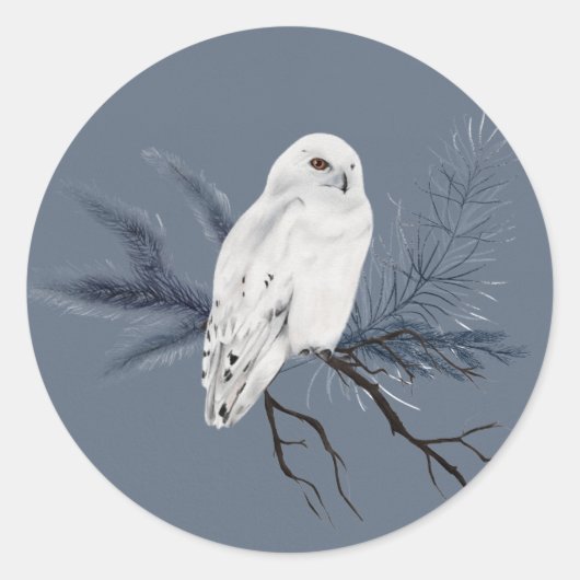 Elegante witte Uil op Holly Limb Ronde Sticker (Voorkant)
