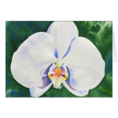 Elegante witte waterverf orchidee schilderij (Voorkant Horizontaal)