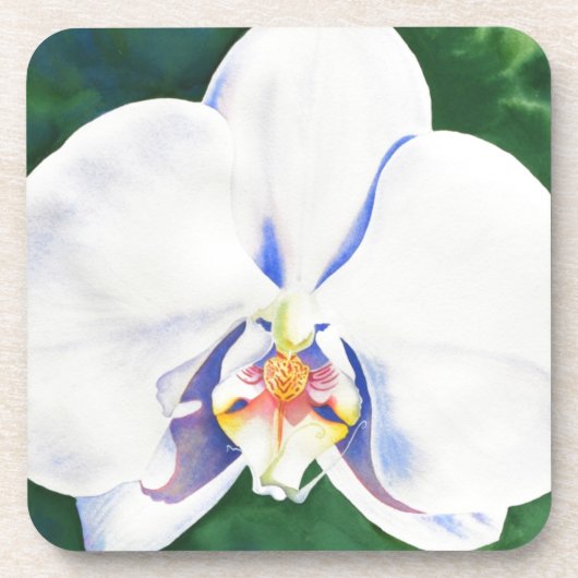 Elegante witte waterverf orchidee schilderij bier onderzetter (Voorkant)