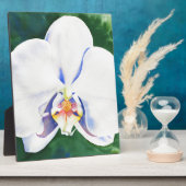 Elegante witte waterverf orchidee schilderij fotoplaat (Zijkant)