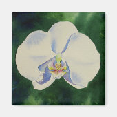 Elegante witte waterverf orchidee schilderij magneet (Voorkant)