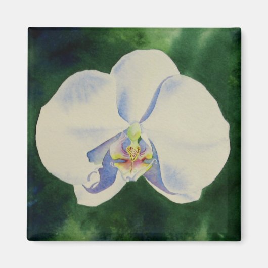 Elegante witte waterverf orchidee schilderij magneet (Voorkant)