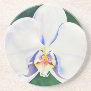 Elegante witte waterverf orchidee schilderij zandsteen onderzetter