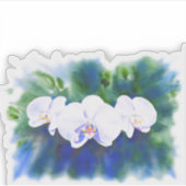 Elegante witte waterverf tropische boho orchideeën sticker (Voorkant)