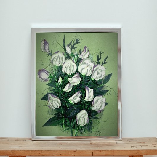 Elegante witte zoete erwtenbloemen foto afdruk