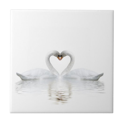Elegante witte zwanen uit liefde tegeltje (Voorkant)