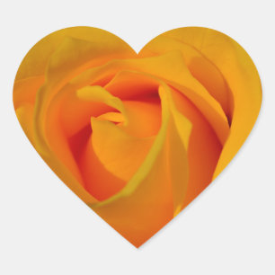 Elegante Yellow Rose foto Hart Sticker