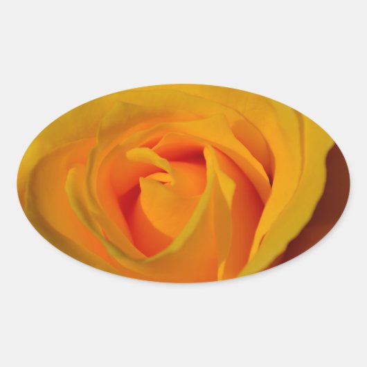 Elegante Yellow Rose foto Ovale Sticker (Voorkant)