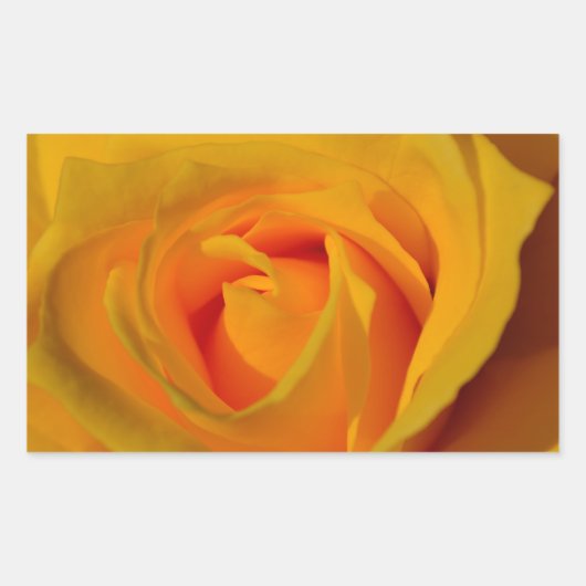 Elegante Yellow Rose foto Rechthoekige Sticker (Voorkant)