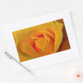 Elegante Yellow Rose foto Rechthoekige Sticker (Envelop)