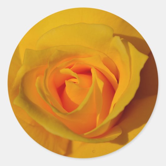 Elegante Yellow Rose foto Ronde Sticker (Voorkant)