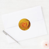 Elegante Yellow Rose foto Ronde Sticker (Envelop)
