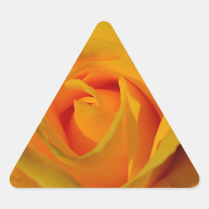 Elegante Yellow Rose foto Sticker
