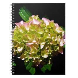 Elegante zacht groene roze groene bloemenhortensia notitieboek