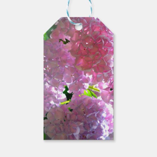 Elegante zacht roze bloemblaadjes roze hortensia's cadeaulabel (Voorkant)
