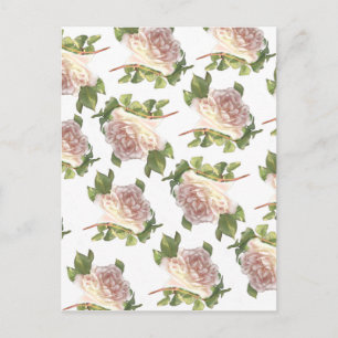 Elegante zacht roze witte roos knop briefkaart