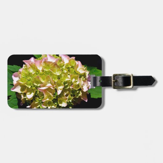 Elegante zachte groene roze bloemhortensia's bagagelabel (Voorkant horizontaal)