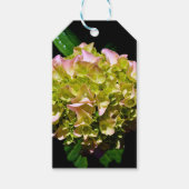 Elegante zachte groene roze bloemhortensia's cadeaulabel (Voorkant)