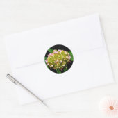 Elegante zachte groene roze bloemhortensia's ronde sticker (Envelop)