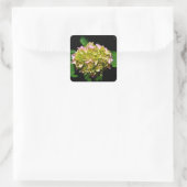 Elegante zachte groene roze bloemhortensia's vierkante sticker (Tas)