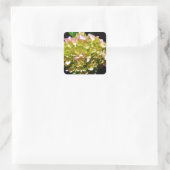 Elegante zachte groene roze bloemhortensia's vierkante sticker (Tas)