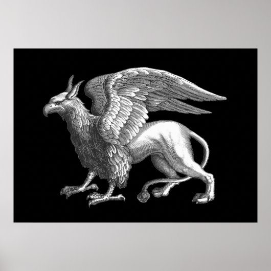Elegante zilveren grijze/grys legendarische griffi poster (Voorkant)