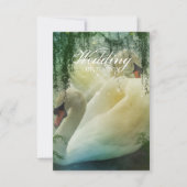 elegante zomermeer witte zwaan bruiloft kaart (Voorkant)