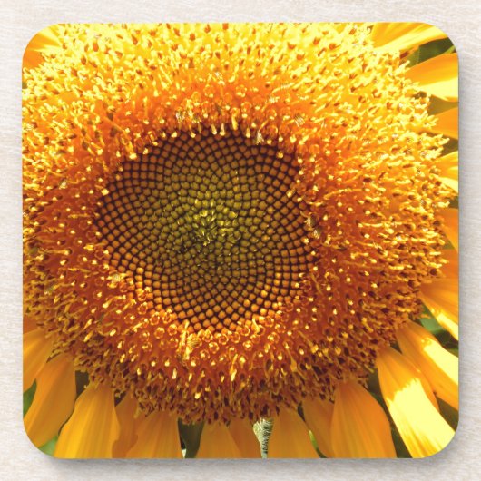 Elegante zonnebloem foto bier onderzetter (Voorkant)